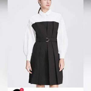 Trench Style Shirt Collar Pleated Dress (NWOT)